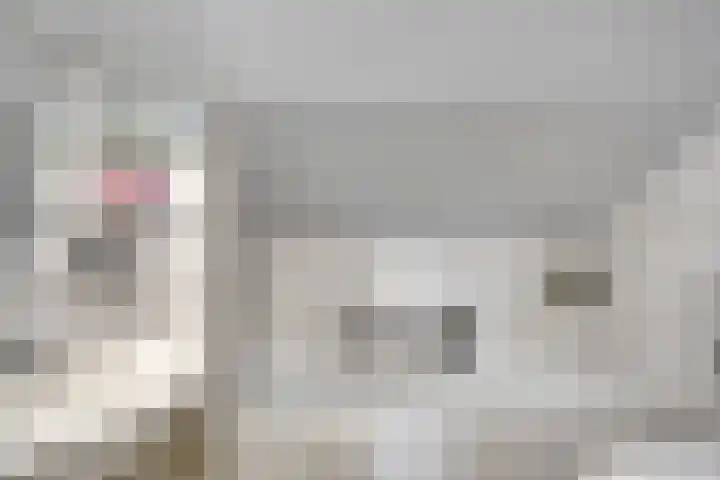 Vlodropstraat 6 Maasbree thumbnail 27