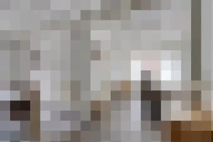 Vlodropstraat 6 Maasbree thumbnail 8
