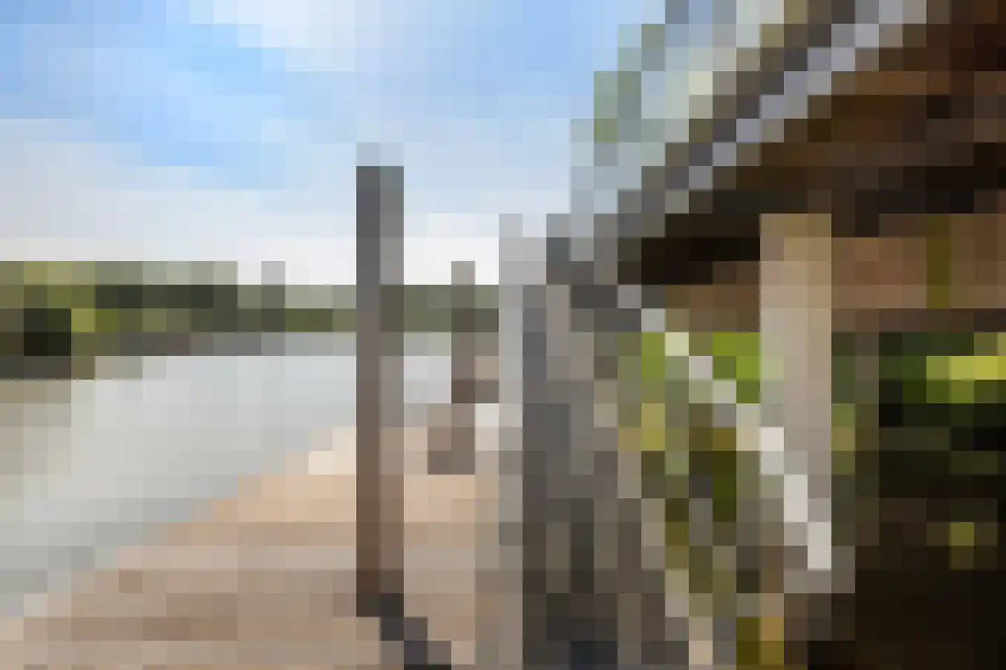 Vloed 14 Dordrecht thumbnail 32