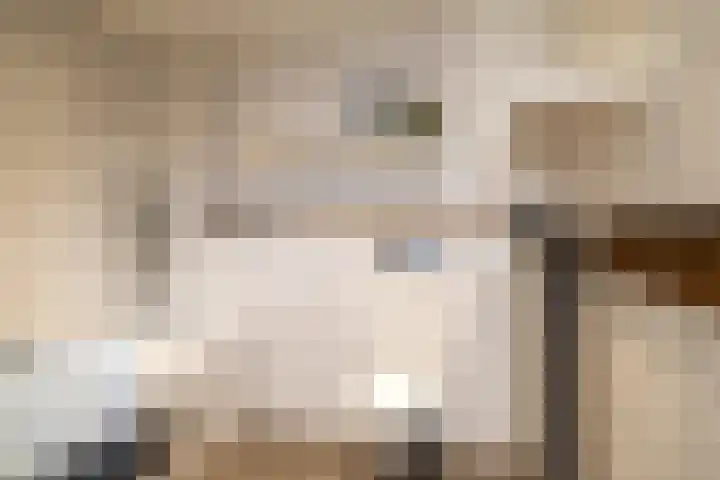 Vloed 27 Breda thumbnail 23