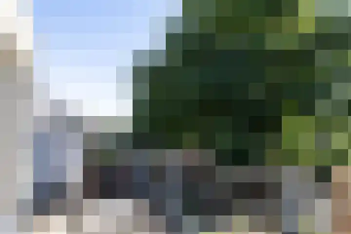 Vloed 27 Breda thumbnail 31