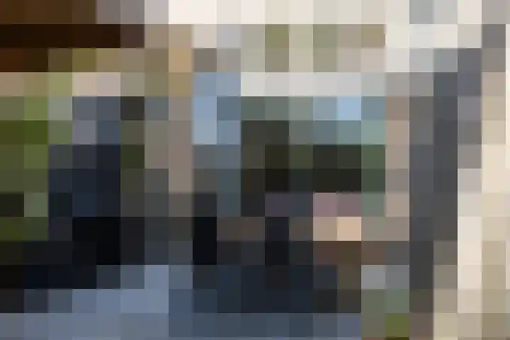 Vloed 27 Breda thumbnail 36