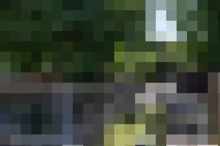 Vloed 27 Breda thumbnail 37