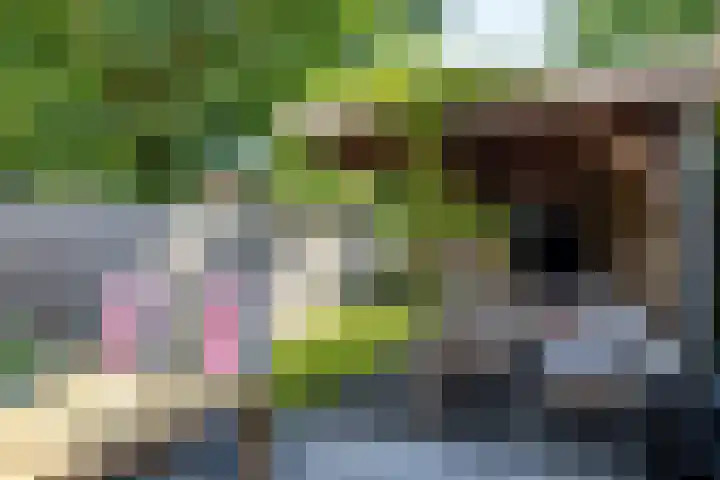 Vloed 27 Breda thumbnail 38