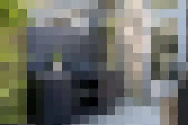 Vloed 27 Breda thumbnail 39