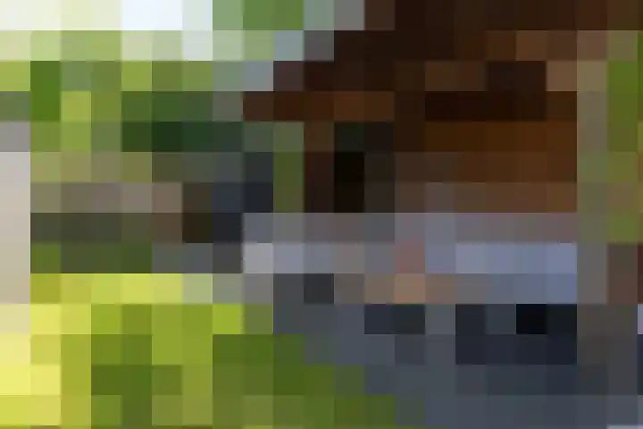 Vloed 27 Breda thumbnail 40