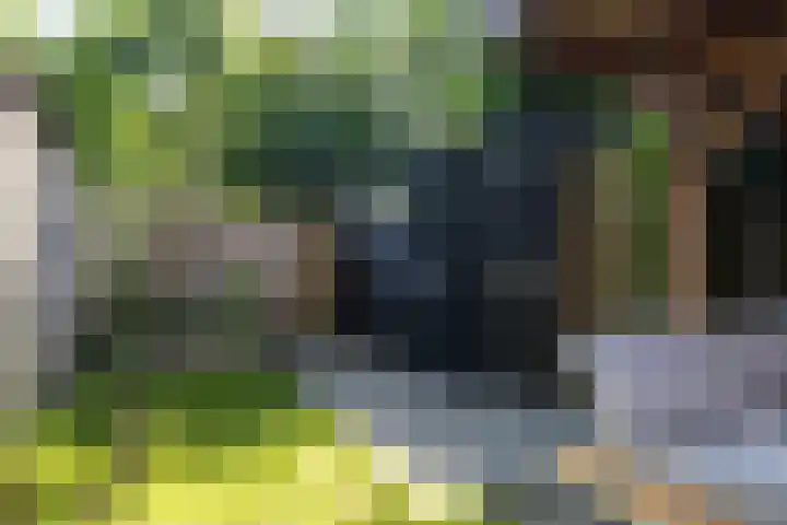 Vloed 27 Breda thumbnail 41
