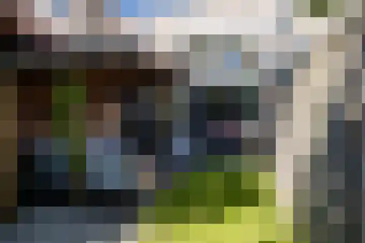 Vloed 27 Breda thumbnail 42