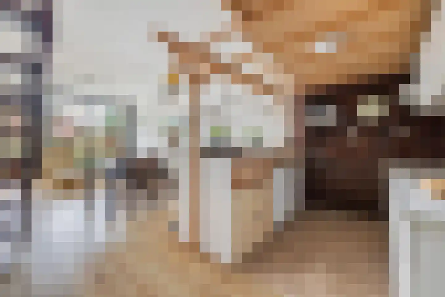 Vloed 32 Breda thumbnail 13