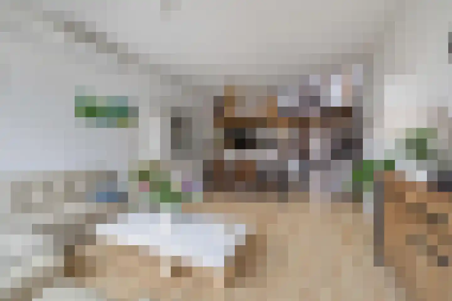 Vloed 32 Breda thumbnail 18