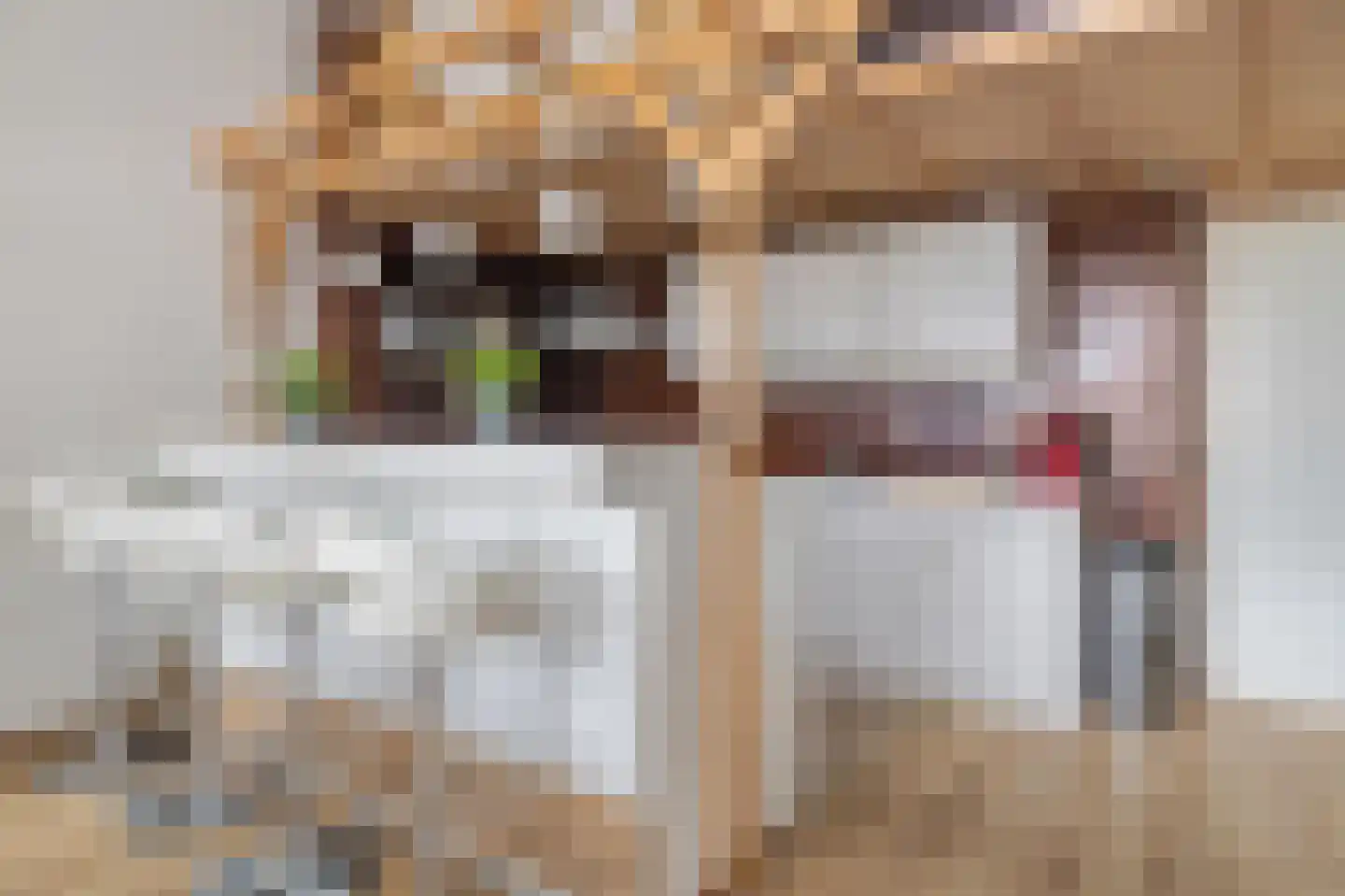 Vloed 32 Breda thumbnail 23