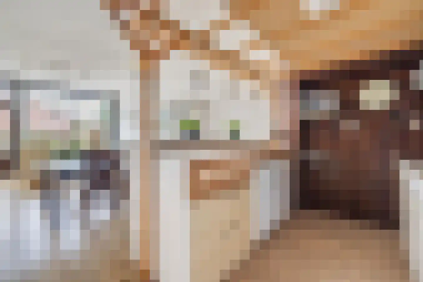 Vloed 32 Breda thumbnail 26