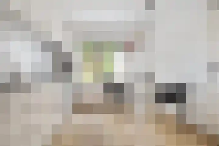Vloed 57 Breda thumbnail 10