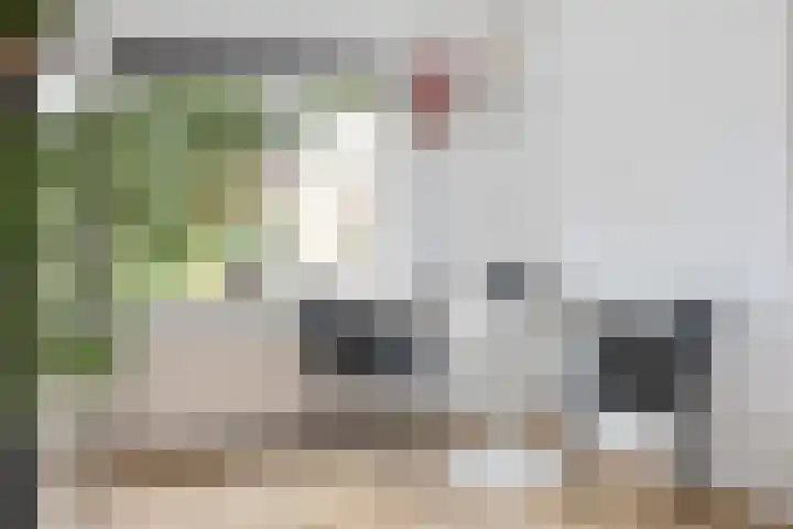 Vloed 57 Breda thumbnail 11