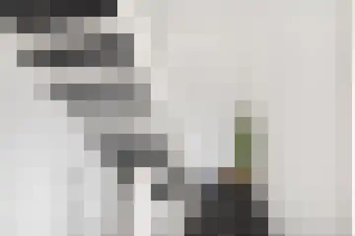 Vloed 57 Breda thumbnail 12