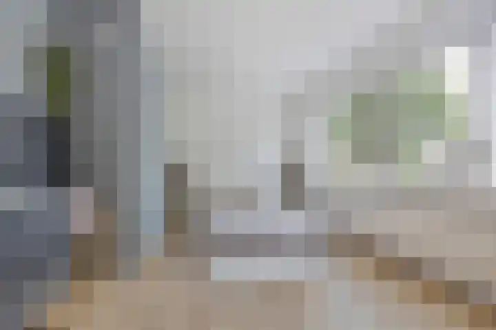 Vloed 57 Breda thumbnail 17