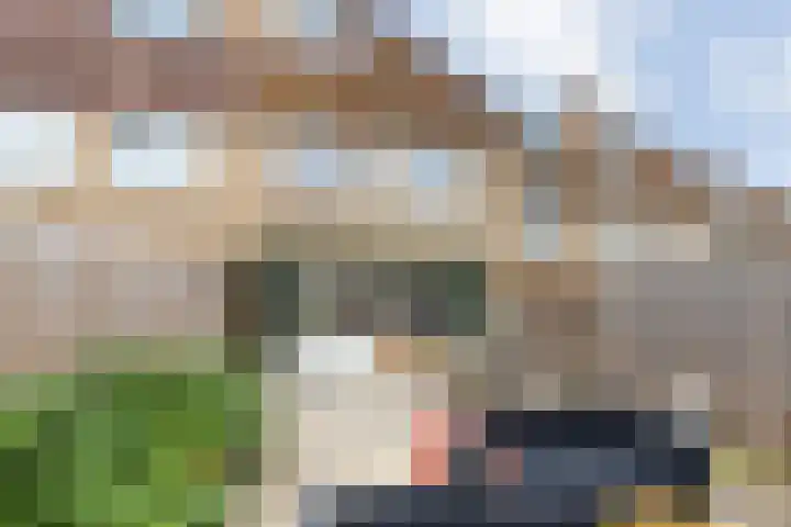 Vloed 57 Breda thumbnail 26