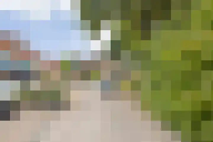 Vloed 57 Breda thumbnail 30