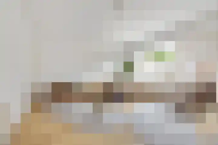 Vloed 57 Breda thumbnail 6