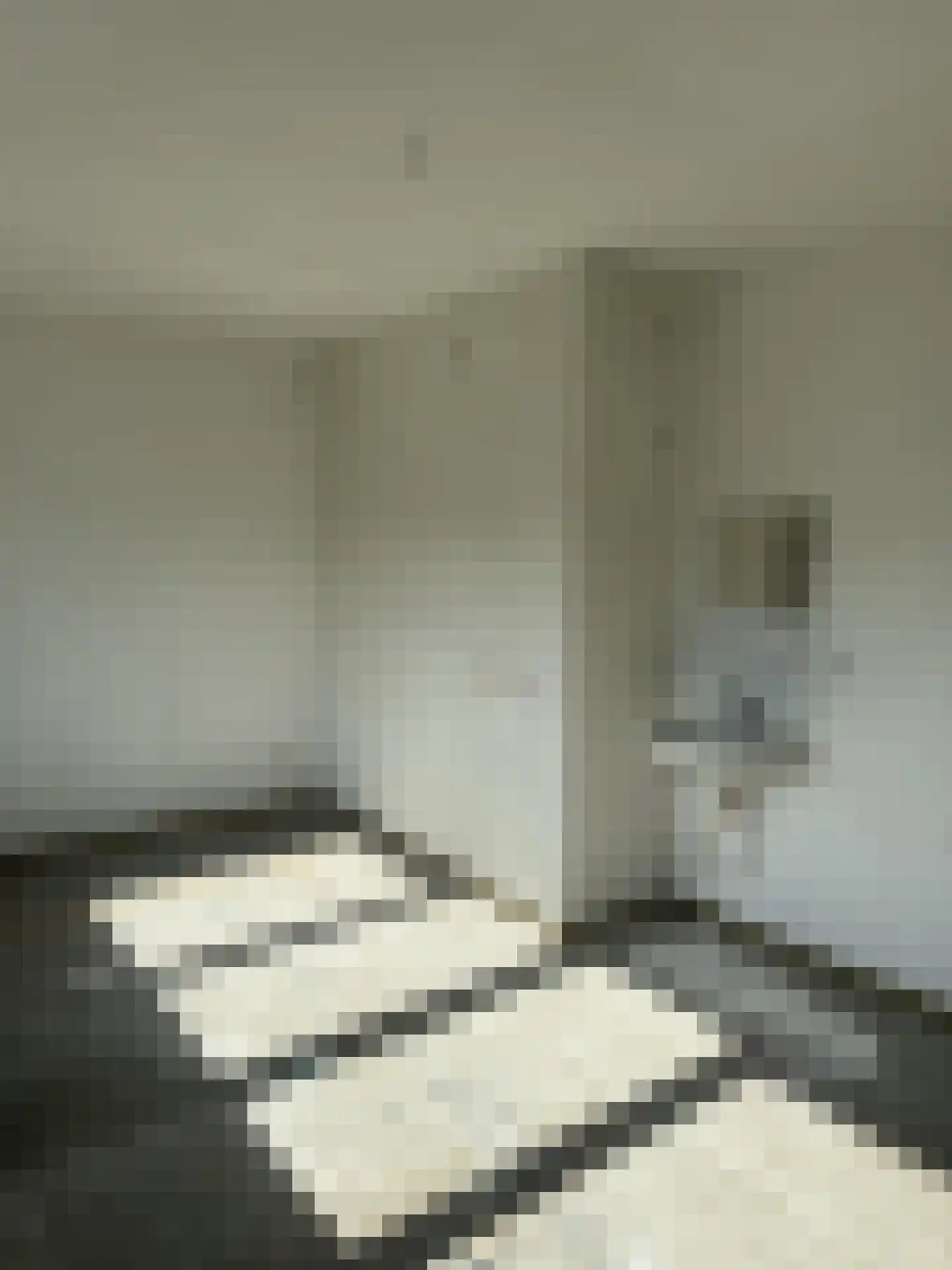 Vloed 79 Breda thumbnail 13