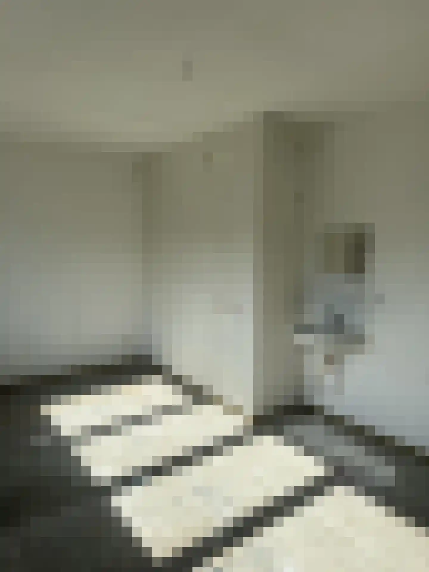 Vloed 79 Breda thumbnail 13