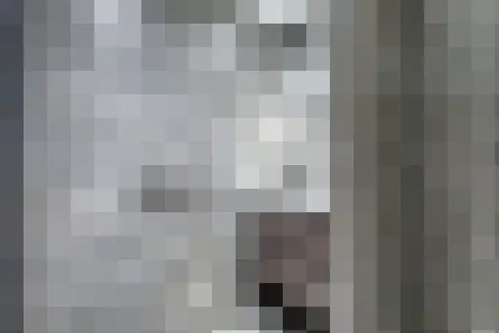 Vloed 98 Breda thumbnail 15