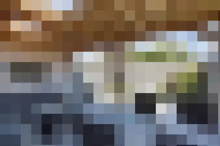 Vloed 98 Breda thumbnail 23