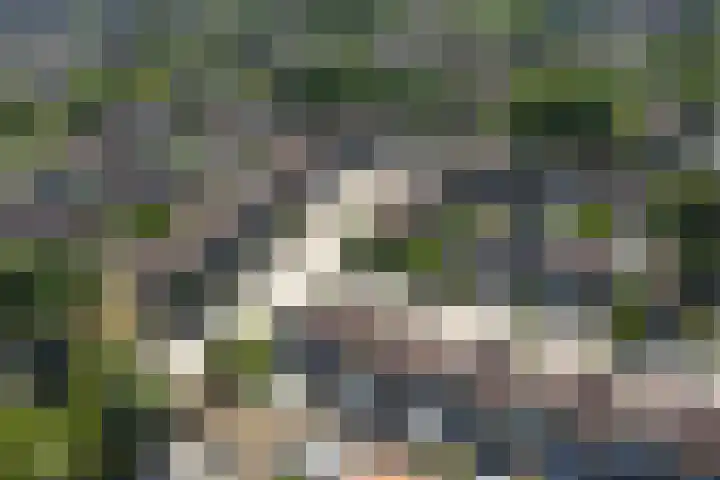 Vloed 98 Breda thumbnail 31