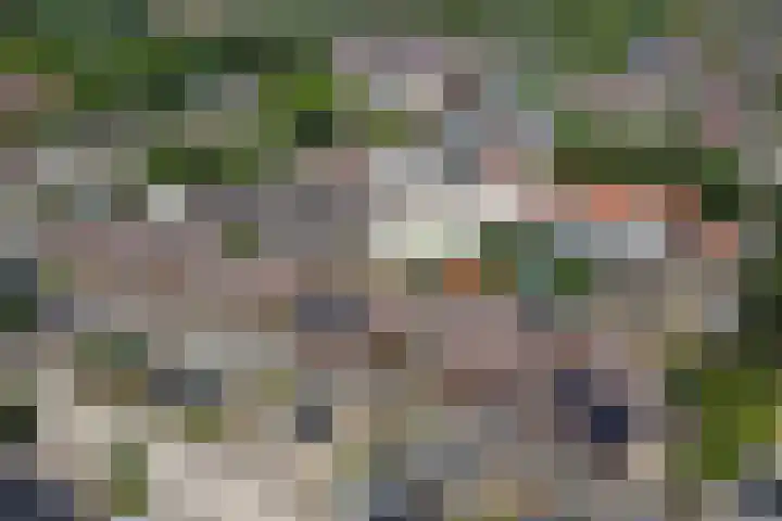 Vloed 98 Breda thumbnail 32