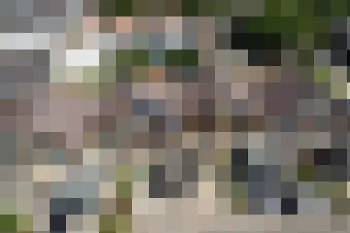 Vloed 98 Breda thumbnail 33