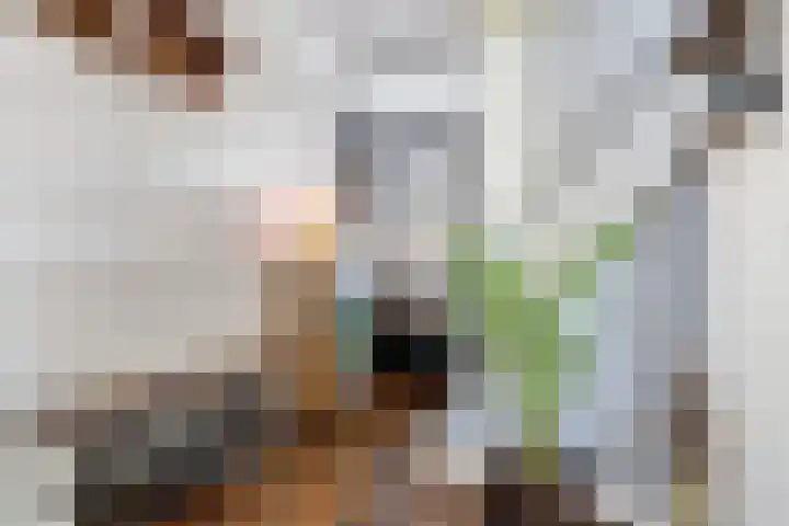 Vloed 98 Breda thumbnail 7