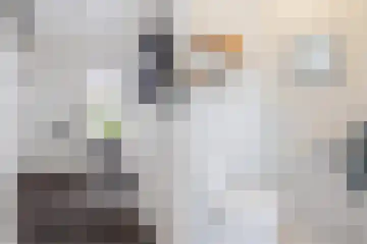 Vloedanker 4 Werkendam thumbnail 13