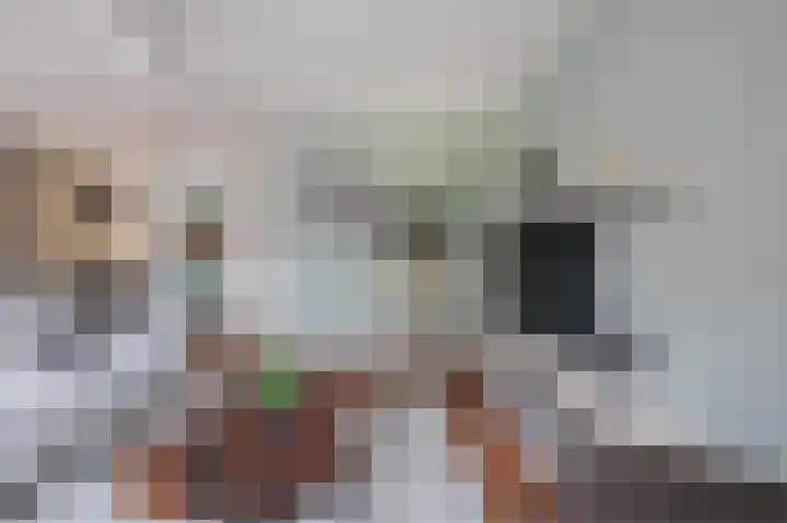 Vloedanker 4 Werkendam thumbnail 5