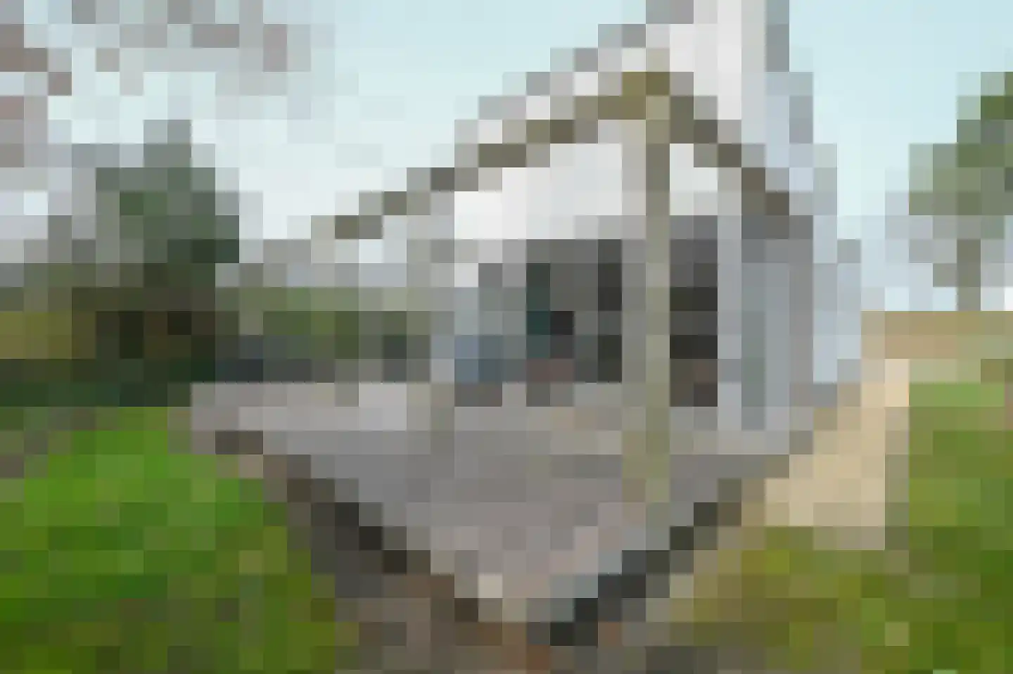 Vloedburgh 78 15 Ouddorp thumbnail 22