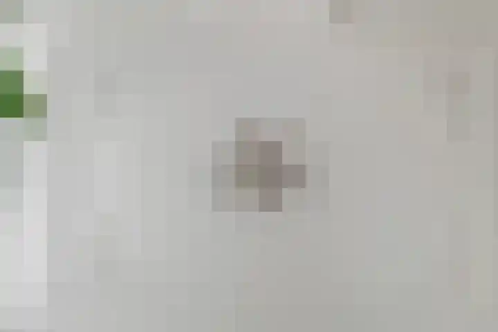 Vloeddijk 103 Kampen thumbnail 11