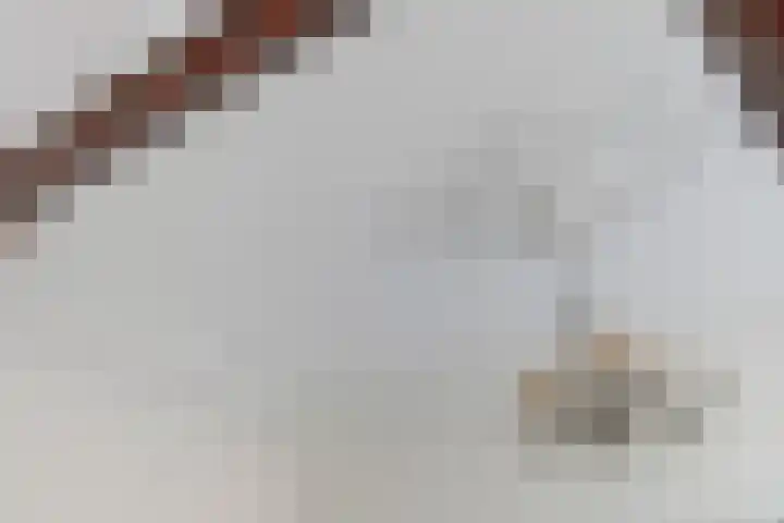 Vloeddijk 103 Kampen thumbnail 12