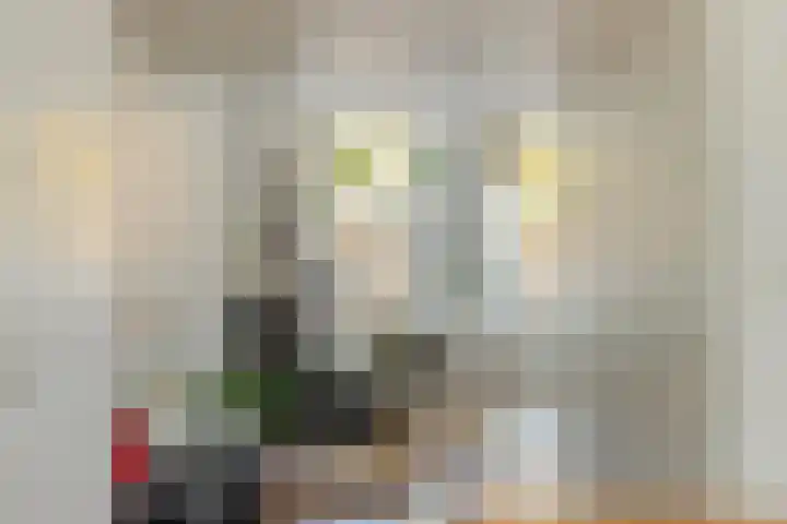 Vloeddijk 103 Kampen thumbnail 14