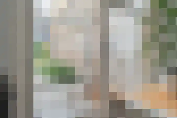 Vloeddijk 103 Kampen thumbnail 18