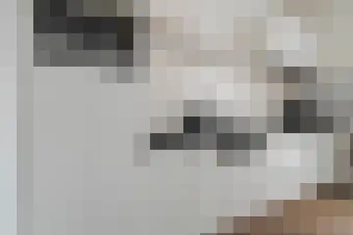 Vloeddijk 103 Kampen thumbnail 19