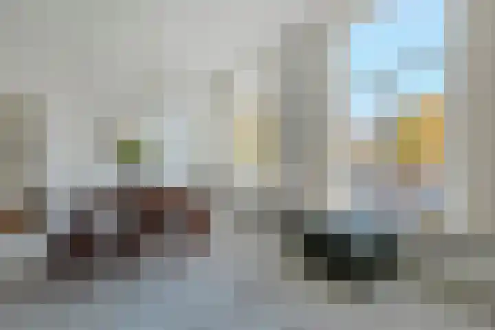 Vloeddijk 103 Kampen thumbnail 23