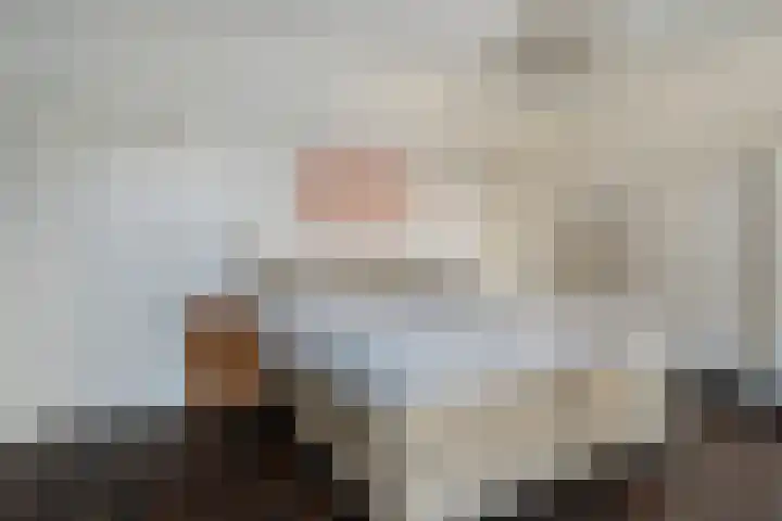 Vloeddijk 103 Kampen thumbnail 26