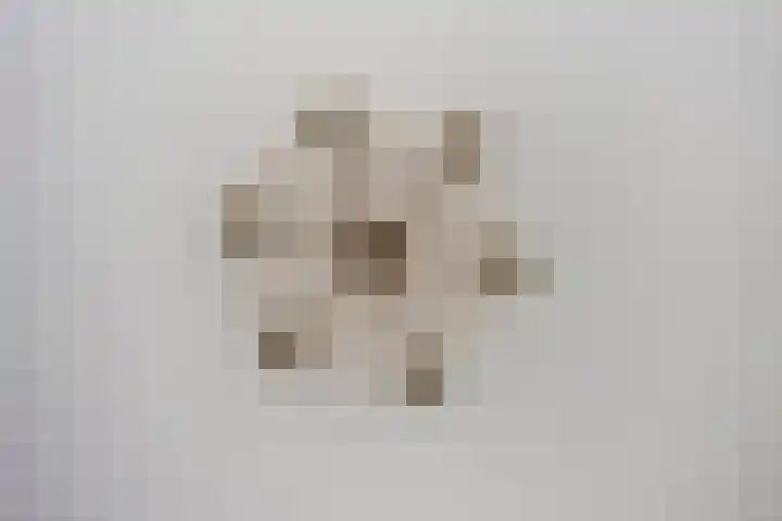 Vloeddijk 103 Kampen thumbnail 30