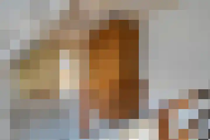 Vloeddijk 103 Kampen thumbnail 34