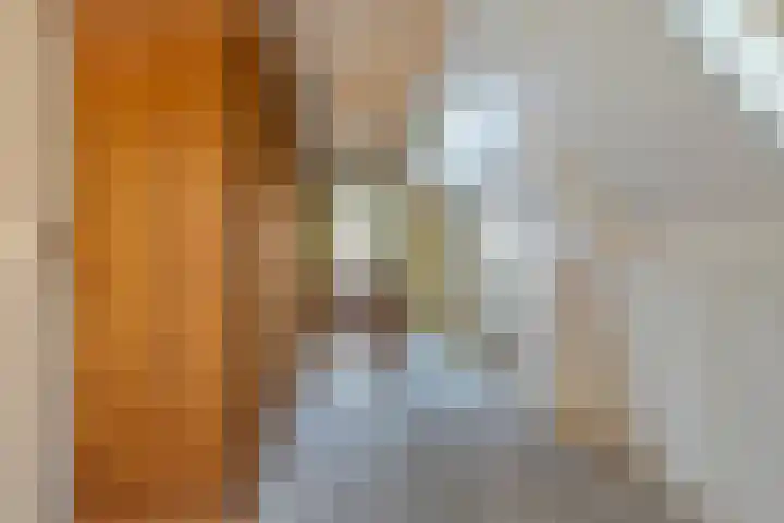 Vloeddijk 103 Kampen thumbnail 35