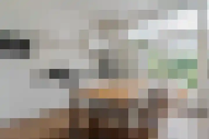 Vloeddijk 103 Kampen thumbnail 4