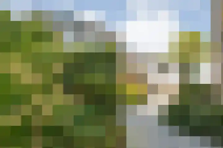Vloeddijk 103 Kampen thumbnail 43