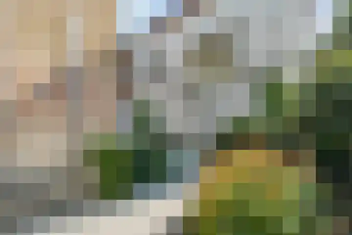 Vloeddijk 103 Kampen thumbnail 45