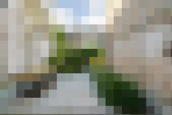Vloeddijk 103 Kampen thumbnail 47