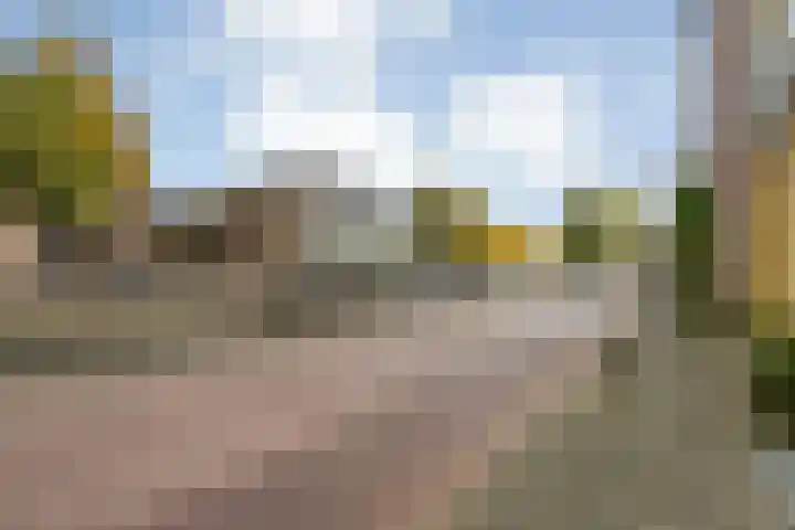 Vloeddijk 103 Kampen thumbnail 49