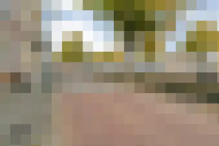 Vloeddijk 103 Kampen thumbnail 50
